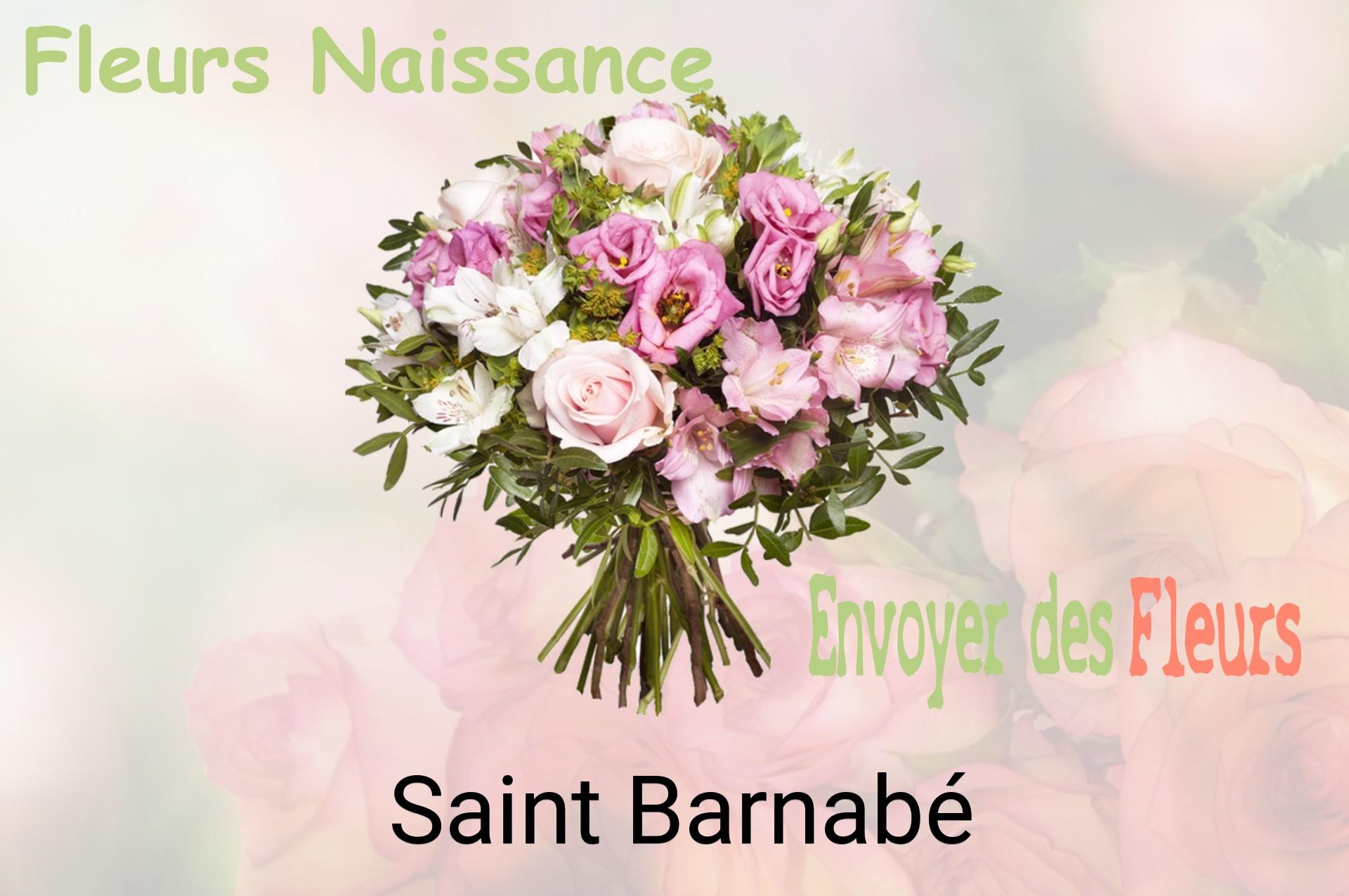 Bouquet de fleurs de naissance livré à Saint-Barnabé